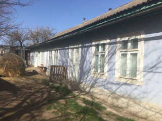Se vinde casa in raionul Causeni in s. Grigorievca foto 4