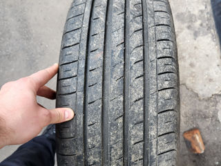 225/45 R18 95Y Nexen NFera SU1 foto 1