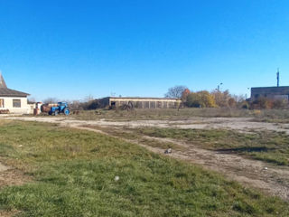 Se vinde spațiu industrial + teren agricil or. Sângerei,sat.Dobrogea Veche, Moldova foto 3