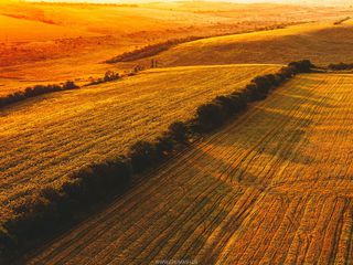 Cadoul perfect pentru persoana draga! foto 10