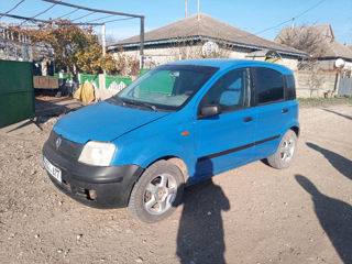 Fiat Panda foto 8