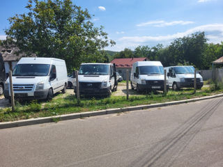 Ford Transit foto 6