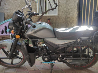 Viper Zs125F foto 2