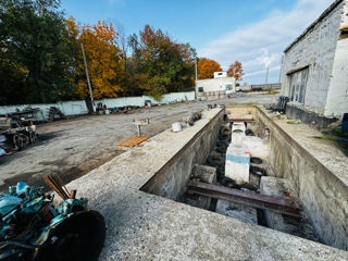 Prima linie, 50 de ari pentru construcții Biruința foto 7