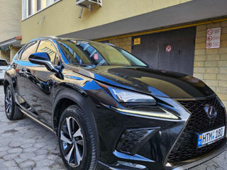 Lexus NX Series foto 5