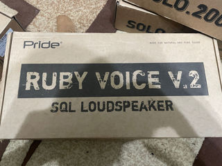 Pride Ruby Voice v2 16cm