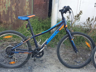 Bicicleta giant