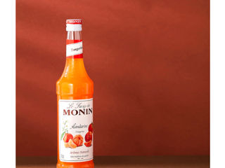 Sirop Portocală-Mandarină de la Monin Franța, Sticlă 700 ml, Livrare Moldova