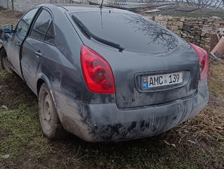 Nissan Primera foto 4