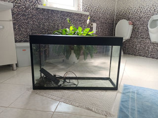 Acvarium50litri