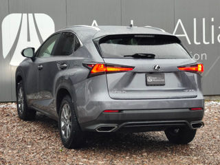 Lexus NX Series foto 6