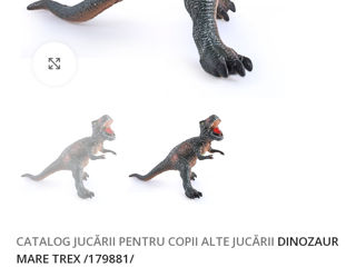 Dinozaur cu sunet foto 4
