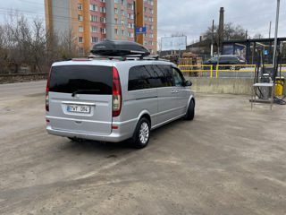 Mercedes Viano foto 6