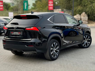 Lexus NX Series foto 4