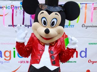 Mickey și Minnie Mouse! Reduceri acum foto 6