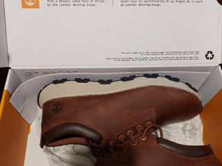 Timberland foto 7