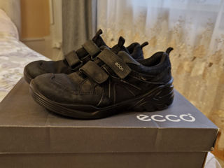 Adidasi Ecco. M 35  250 lei foto 1