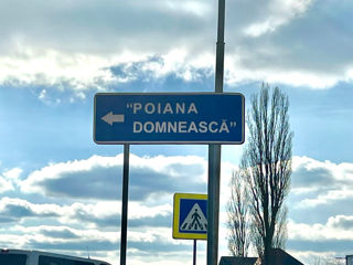 Poiana Domneasca, 7 ari, str-la Tineretului 8