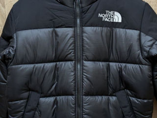 Northface (M)