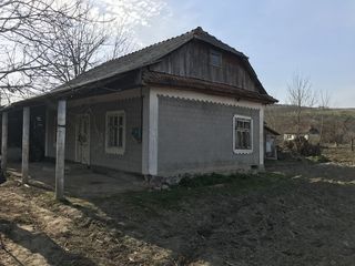 Продается дом, село Мындра foto 3