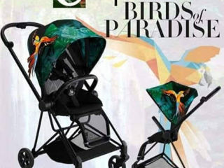 Cybex Mios, fashion collection Birds of paradise 2 в 1 или 3 в 1 foto 9
