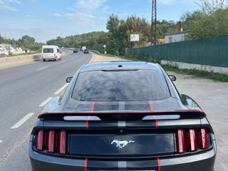 Ford Mustang foto 4