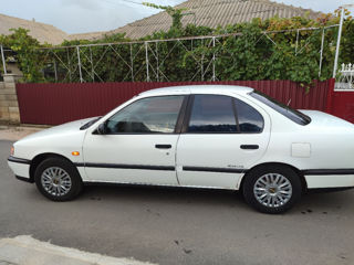 Nissan Primera foto 2