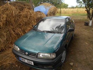 Nissan Primera foto 2