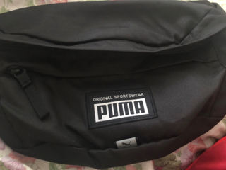 Puma