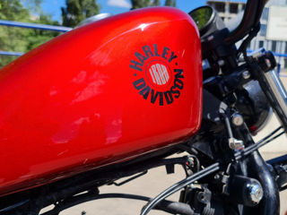 Harley - davidson iron 883 foto 1