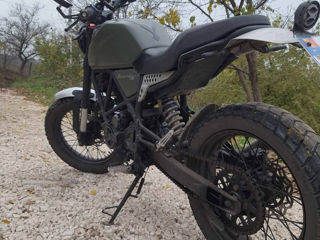 Geon Scrambler foto 3