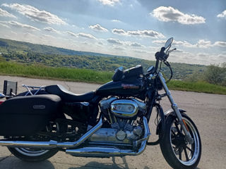 Harley - Davidson Sportster 883 foto 1
