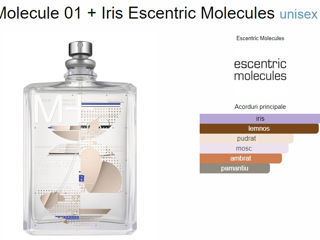 Molecule 01 + Iris Escentric Molecules unisex foto 2