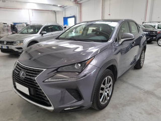 Lexus NX Series