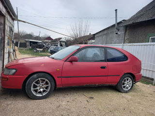 Toyota Corolla foto 2