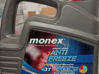 Vint Antifreeze ( -37, -57) foto 4