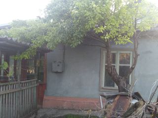 Vind casa in s. Cosernita , дом в селе Кошерница foto 1