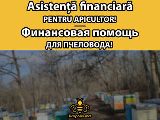 Asistență financiară pentru apicultor! / Финансовая помощь для пчеловода!