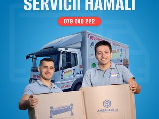 Servicii hamali, transport de marfa, mutari - hamal. foto 12