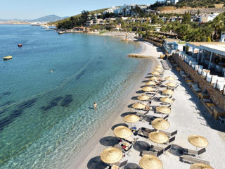 Turkey! "Tui Magic Life Bodrum" 5* - Adults Only! С 06.07! foto 6