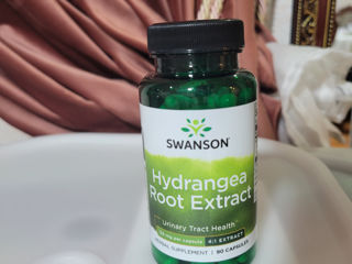 Hydrangea Root Extract