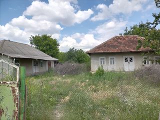 Satul Braviceni(pentru detalii sunati) foto 1