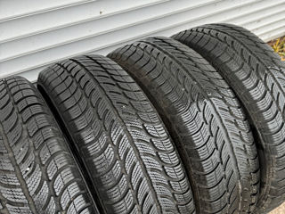 Зимние шины 185/65R15 Sava foto 3