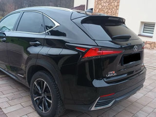 Lexus NX Series foto 8