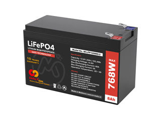 Battery LiFePO4 (LFP) 12,8V 8A DALY BMS 128W 192W 256W 384W 768W foto 5