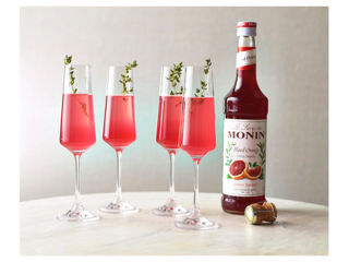 Sirop Blood Orange Monin Portocale Roșii 700 ml, Livrare Moldova