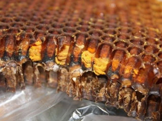 Настойка из пчелиного подмора (хитозан), из прополиса. Мед натуральный. foto 8