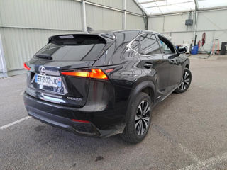 Lexus NX Series foto 3