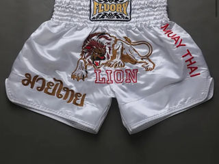 Sorti Muay Thai/K1 foto 3