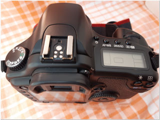 Canon 30D.Body + FIX EF foto 7